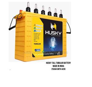 Husky 250ah Solar/Inverter Battery – Tall Tubular