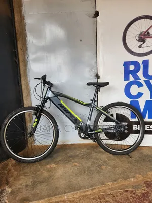Ex Usa Electric Bike