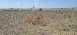 Plot for Sale