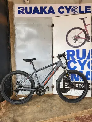 Ex Usa Electric Bike