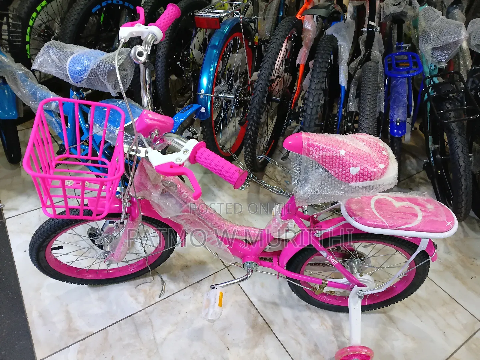 Bicycle Lady's Size 16