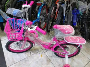 Bicycle Lady's Size 16
