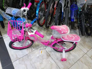 Bicycle Lady's Size 16