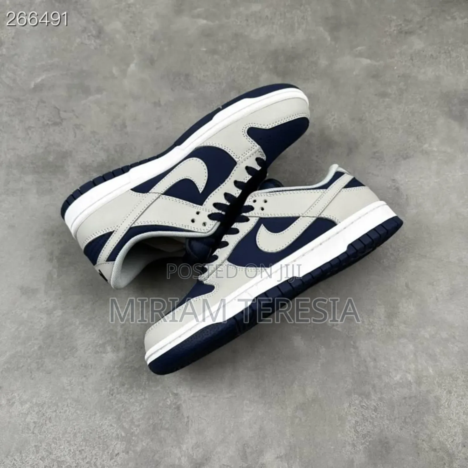 Sb Nike Sneakers