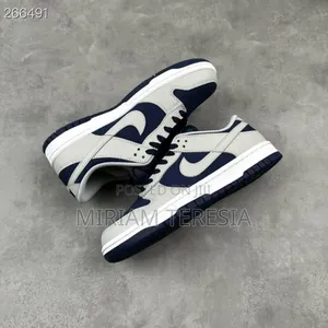 Sb Nike Sneakers