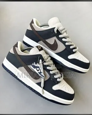Sb Nike Sneakers