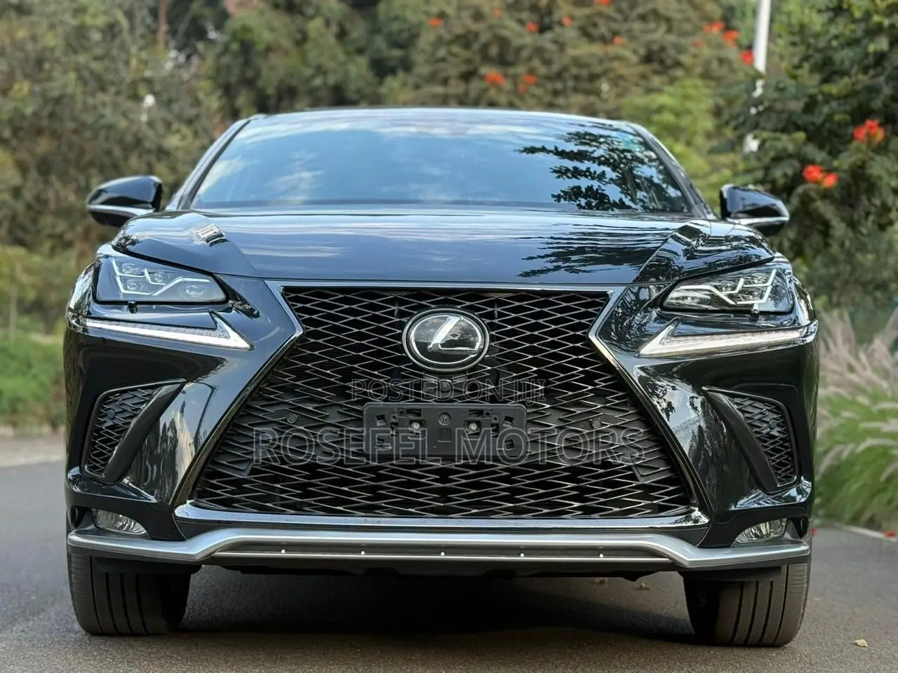 Lexus NX 300 FWD 2018 Black
