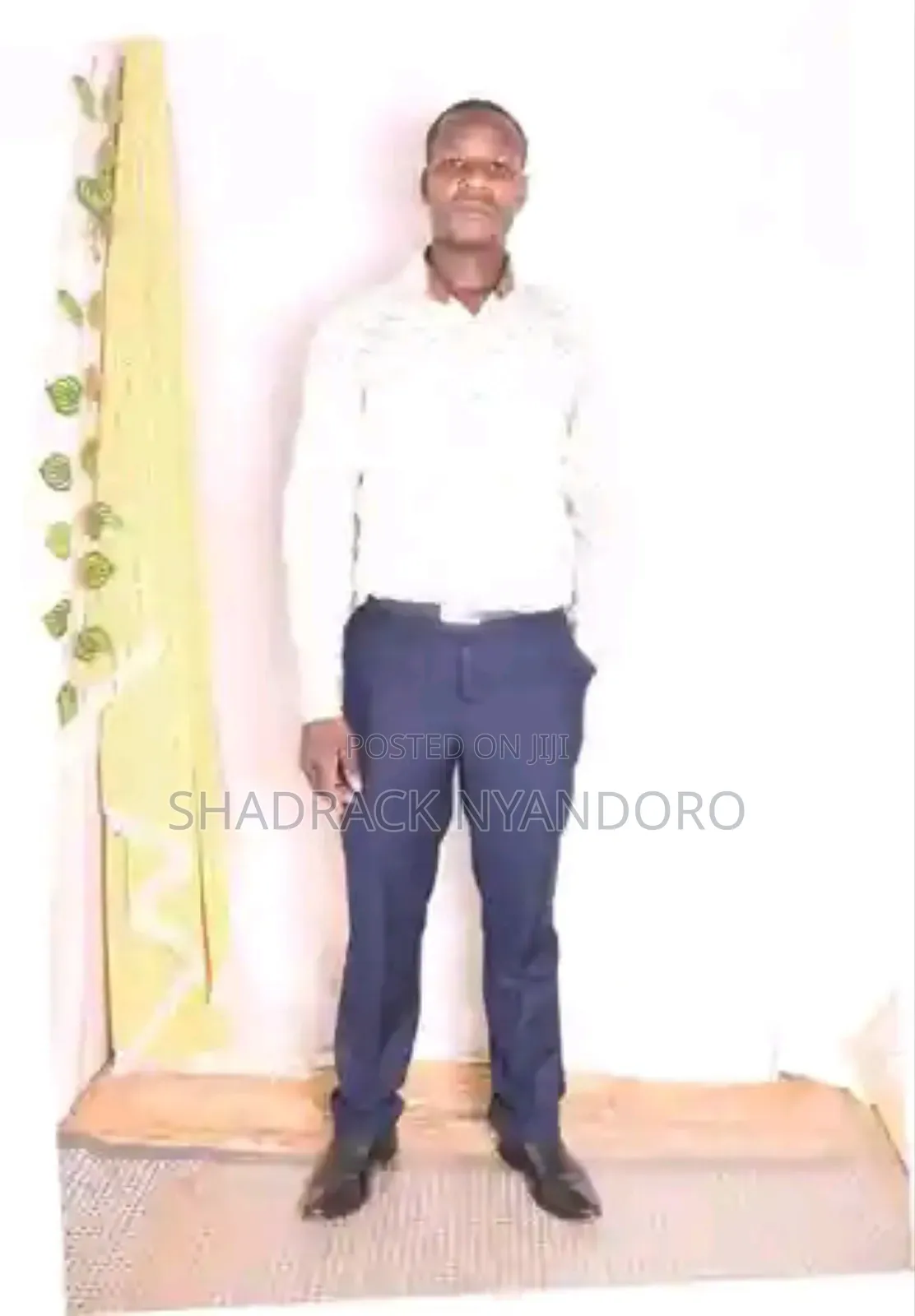 Salesman in Company