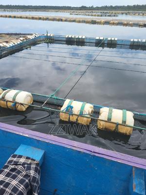 Bulk Fish From Lake Victoria - main view