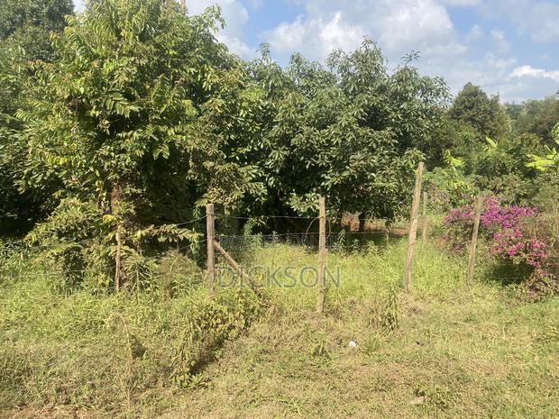 Plot 50*100 - main view