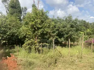 Plot 50*100