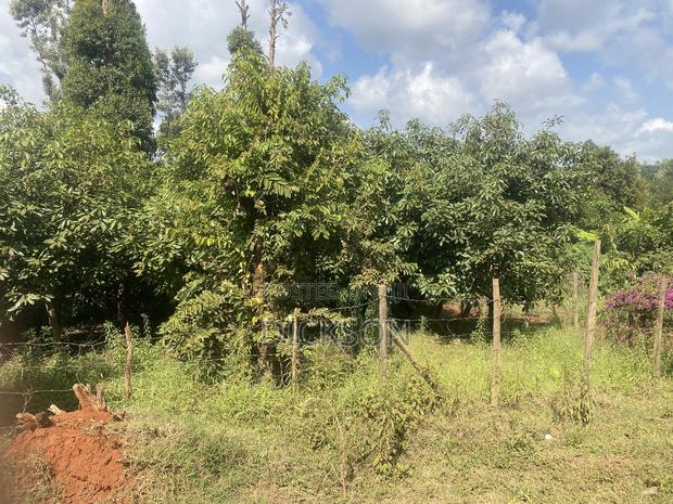 Plot 50*100 - thumbnail 2