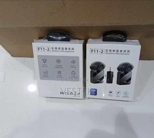 F11-2 Wireless Microphone Plug and Play - main view