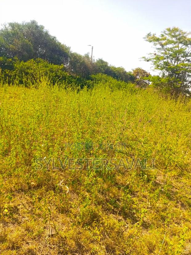 Kangundo Road 5 Acres - thumbnail 4