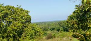 1 Acres With a Sea View and Breeze - main view