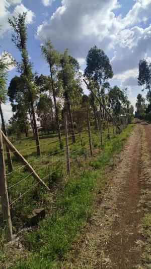 Prime Land - thumbnail 2