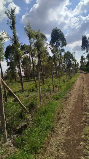 Prime Land