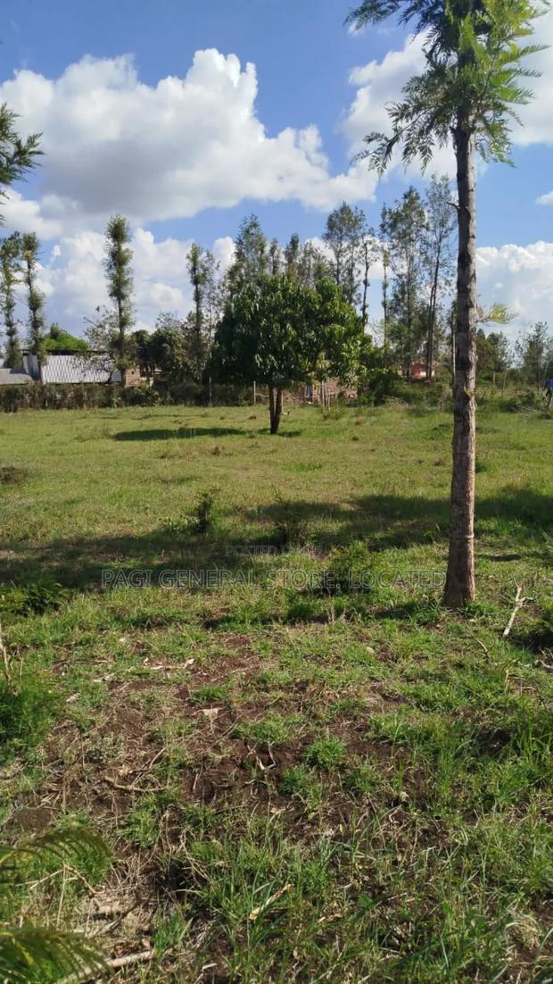 Prime Land - thumbnail 3