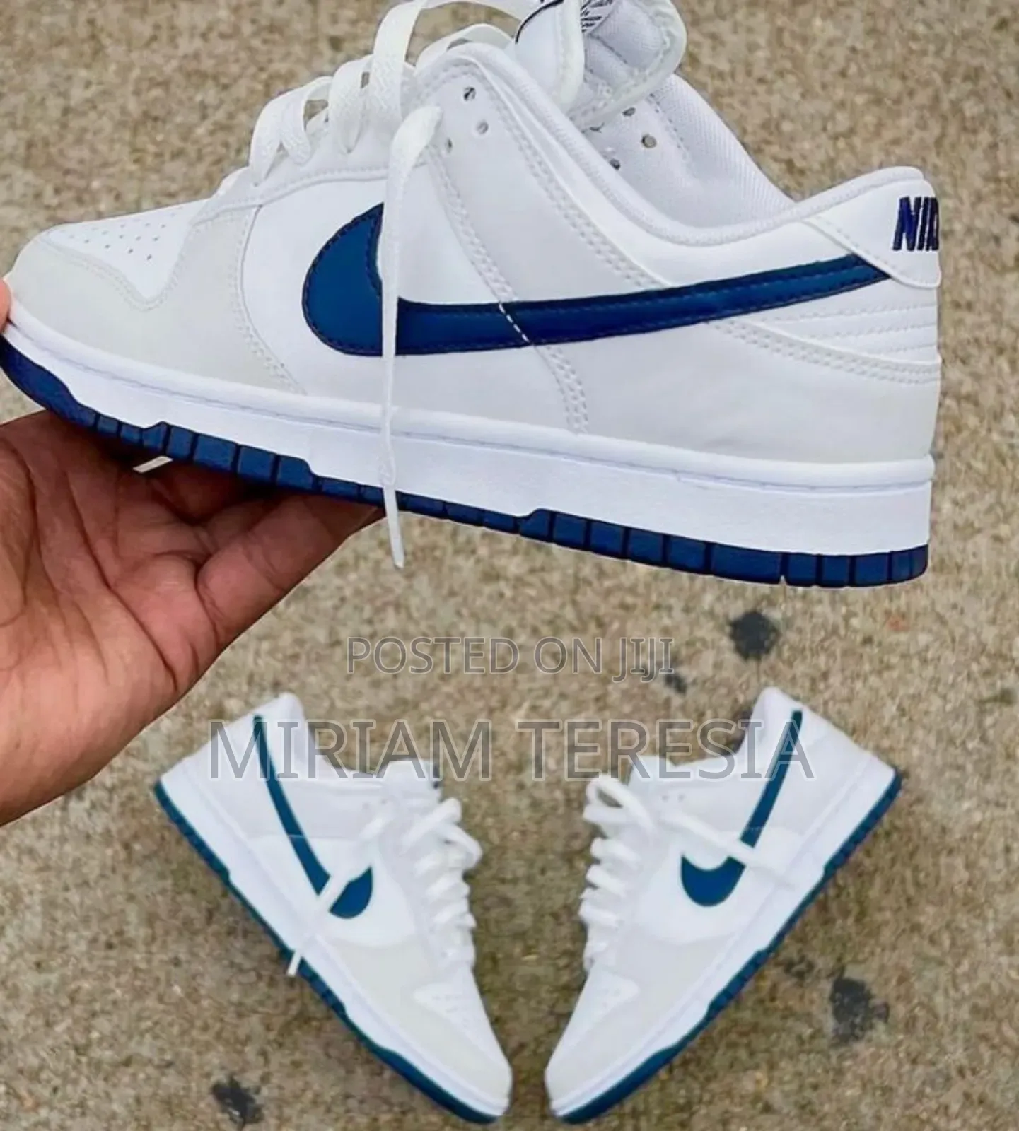 Sb Nike Sneakers