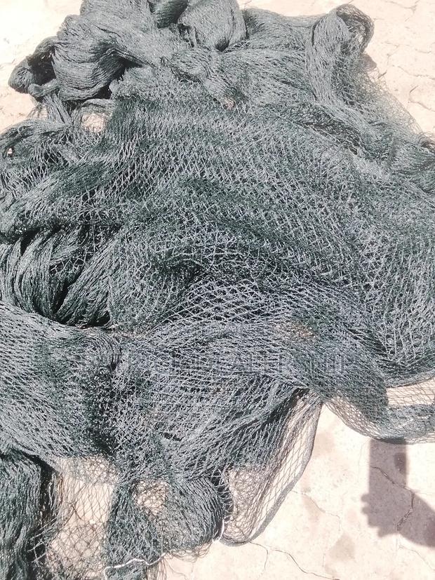 Bird Net Available - main view