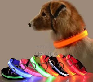 Pet Collar - main view