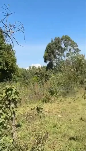 Land for Sale in Tilisi Kiambu County Opposite Naivas. Clean Title.
