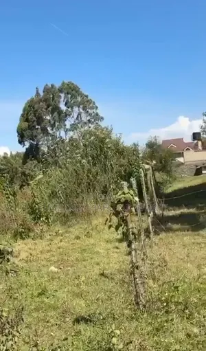 Land for Sale in Tilisi Kiambu County Opposite Naivas. Clean Title.