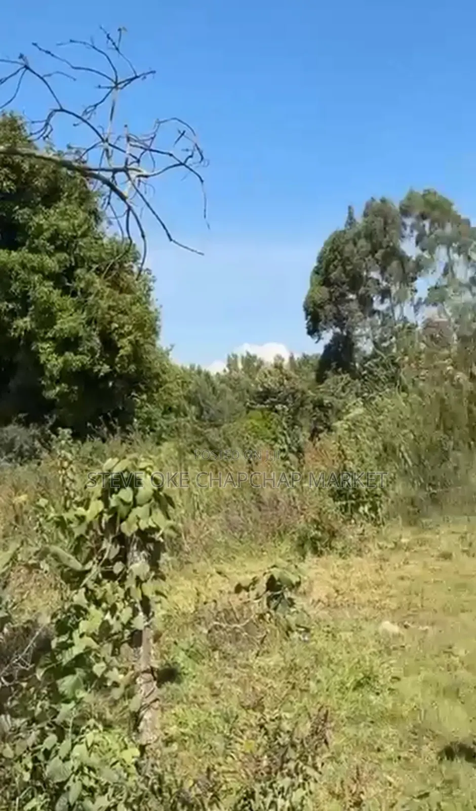 Land for Sale in Tilisi Kiambu County Opposite Naivas. Clean Title.
