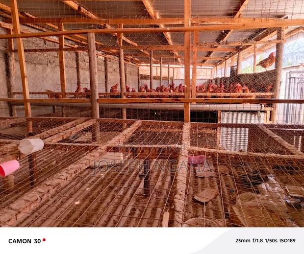 Home for Sale - thumbnail 10