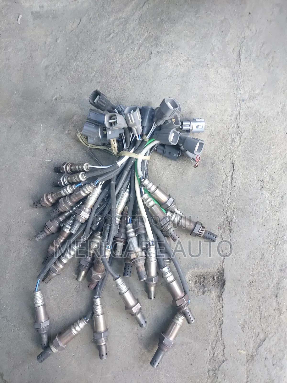 Oxygen Sensor