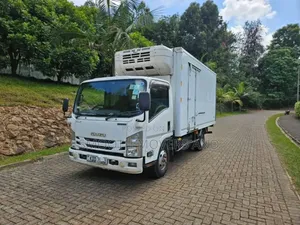 Refrigerated Trucks Available for Transport Services