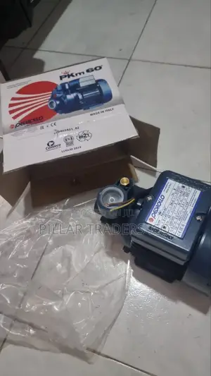 Pedrollo Commercial Water Pump