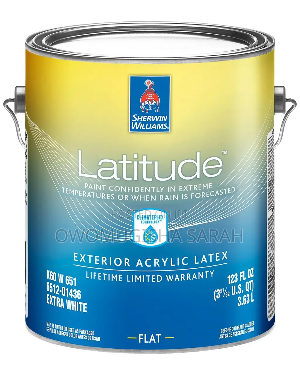 American Paint (Sherwin Williams Paint)