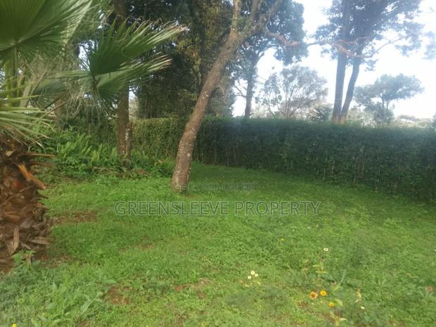 Commercial Office - thumbnail 8