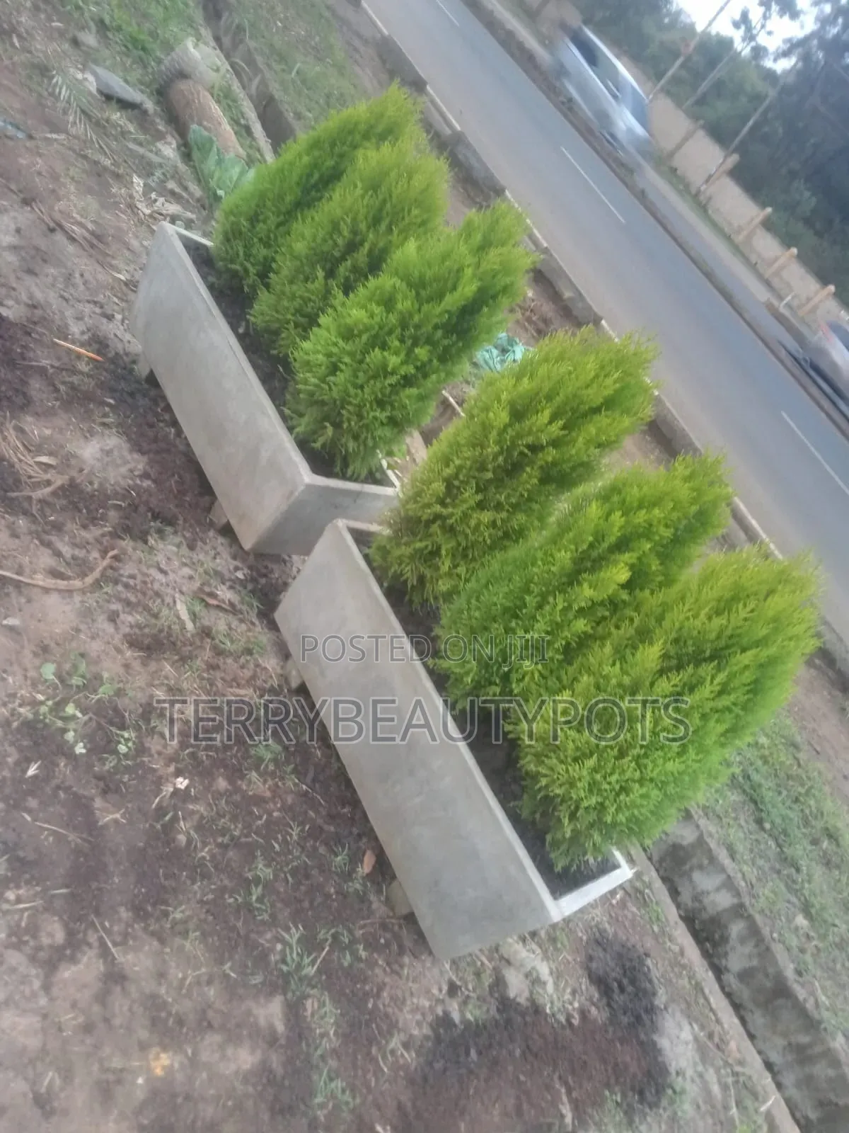 Contrete Trough
