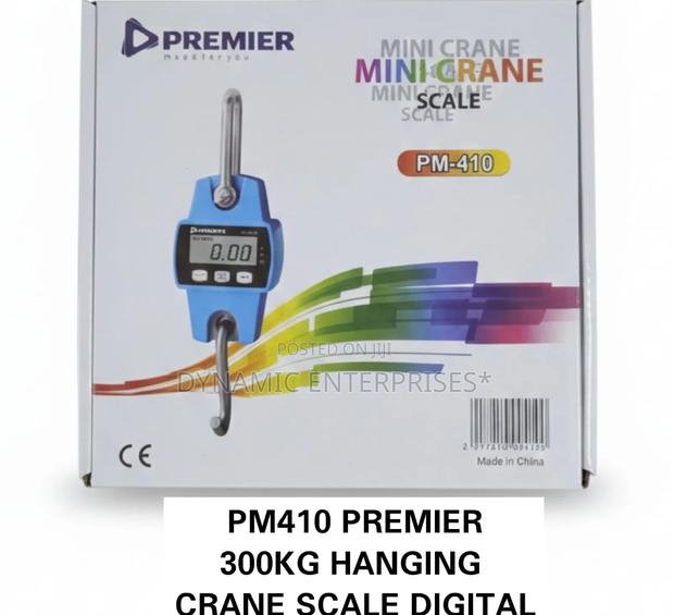 300kg Hanging Crane Scale - main view