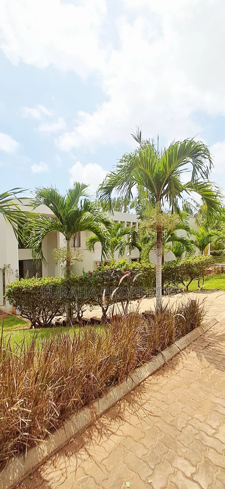 To Let 4 Bedrooms Furnished Vipingo