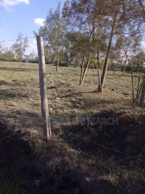 2 Acres Machakos Katelembo Selling at 4.5m Per Acre