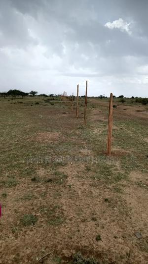 Laikipia Rumuruti - thumbnail 2