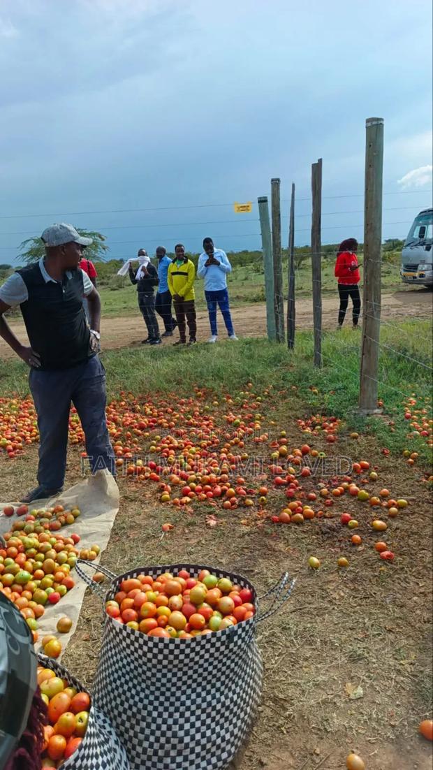 Laikipia Rumuruti - thumbnail 3