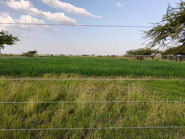 Laikipia Rumuruti - thumbnail 5