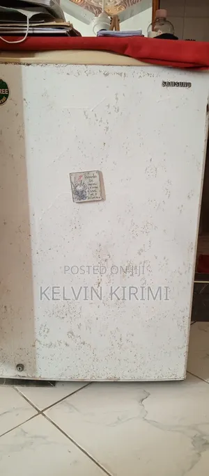 Samsung (Cfc Free) Fridge