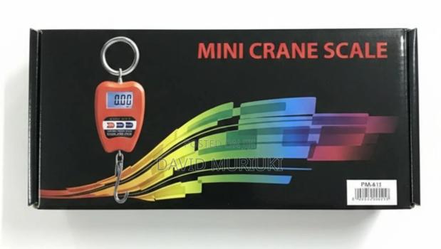 Pm410 Premier 200kg Hanging Crane Scale - main view