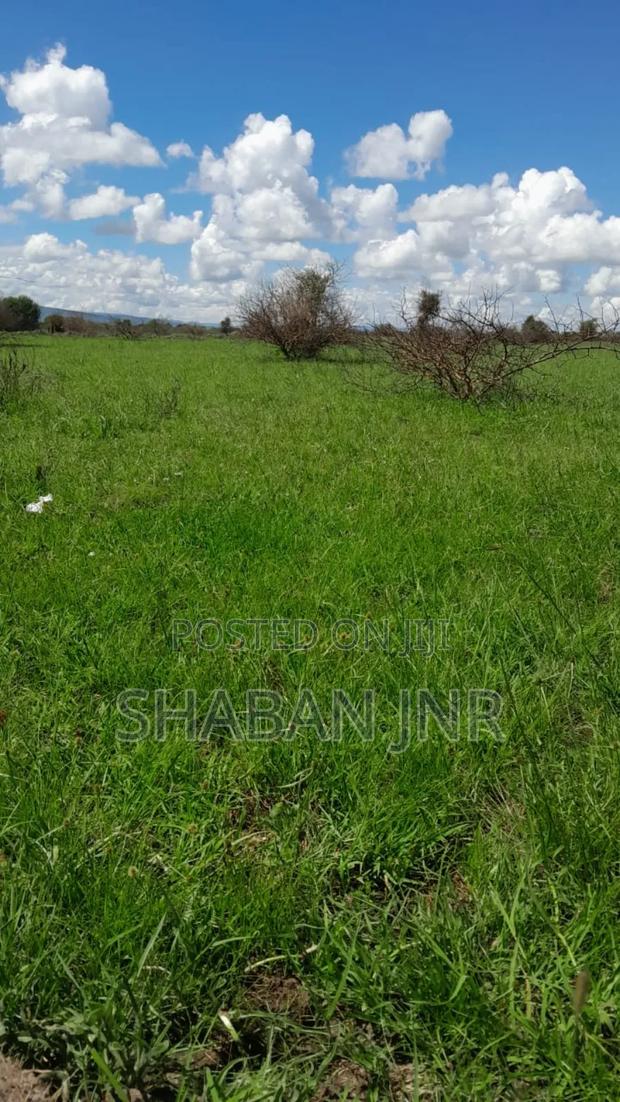 Konza Plots for Sale! - thumbnail 4