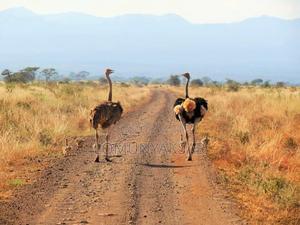 Land Suitable for Agriculture and Settlement - thumbnail 2