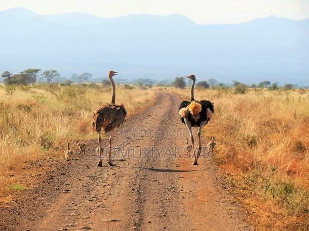 Land Suitable for Agriculture and Settlement - main view