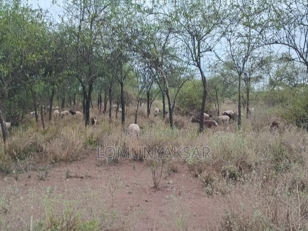 Land Suitable for Agriculture and Settlement - thumbnail 3