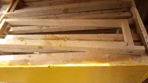 Honey Bee Hive