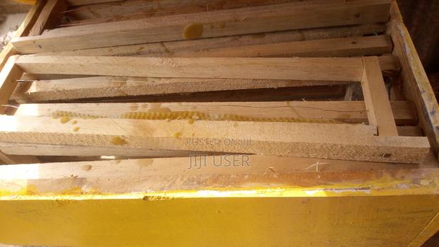 Honey Bee Hive - main view