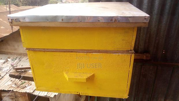 Honey Bee Hive - thumbnail 2